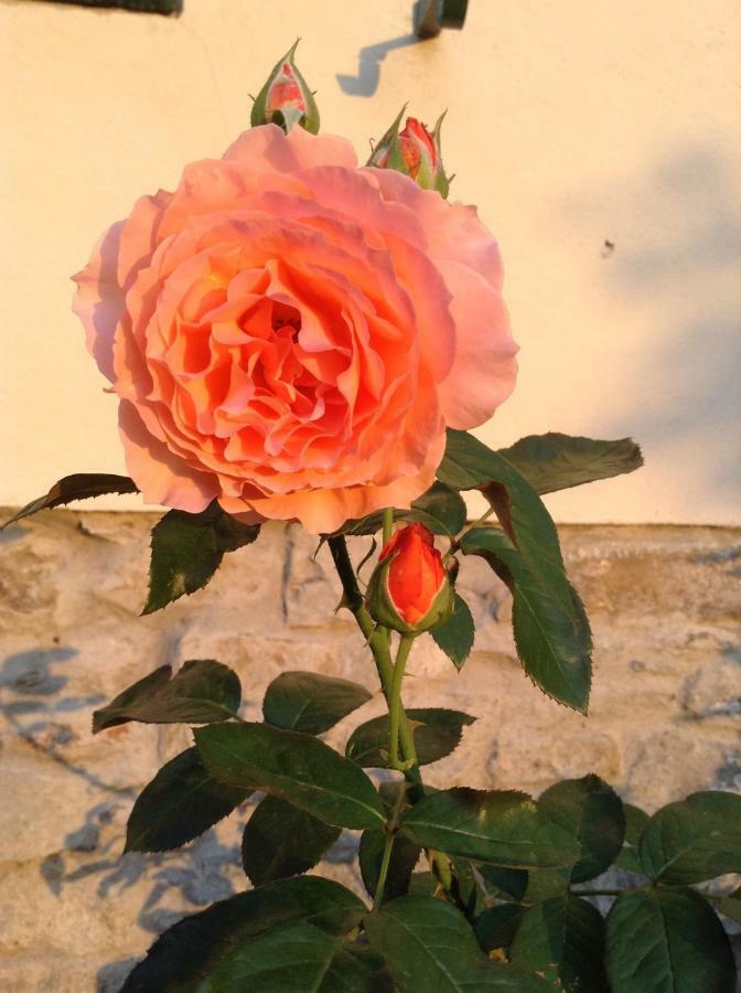 Fiesole In Giardino B&B Екстериор снимка