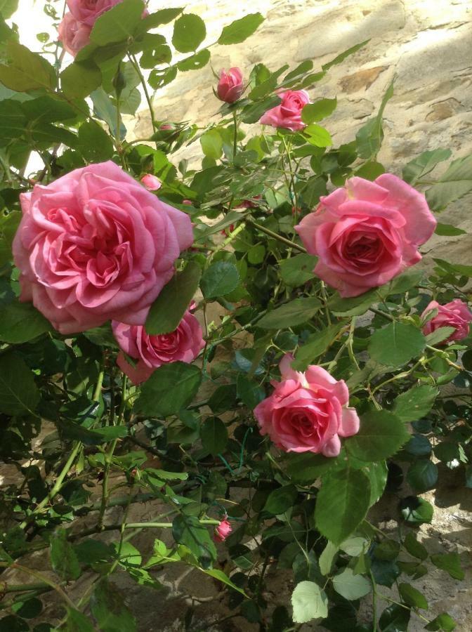 Fiesole In Giardino B&B Екстериор снимка