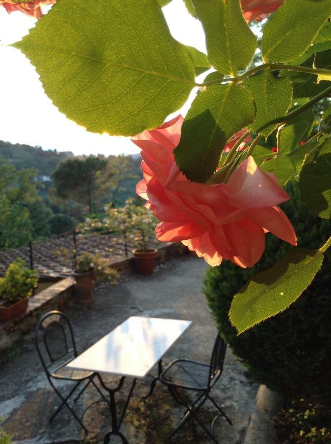 Fiesole In Giardino B&B Екстериор снимка